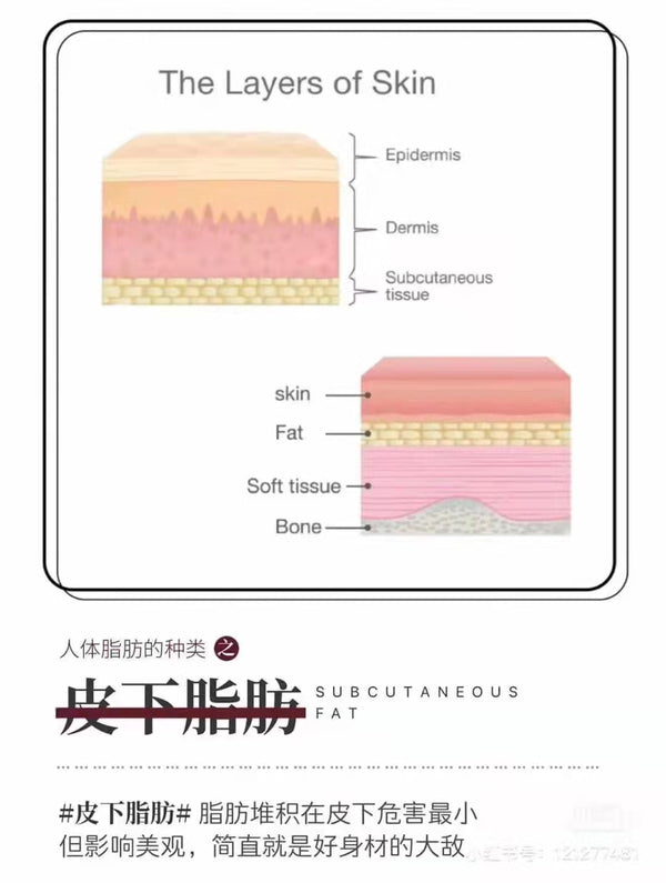 皮下脂肪-脂肪堆积在皮下危害最小但影响美观，简直就是好身材的大敌😈😈