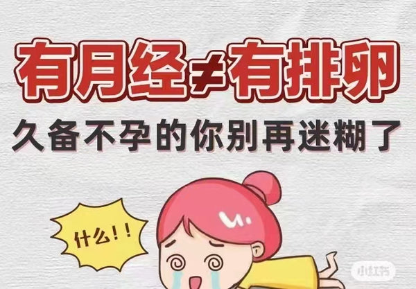 卵泡 有月经就会有排卵吗⁉️ 久备不孕的你别再迷糊了