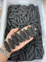 辽参礼盒18-20只Sea cucumber gift box 250g