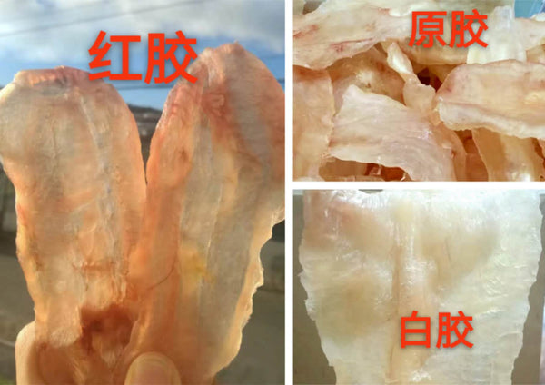 新西兰Ling Fish鳕鳘鱼花胶 – 透原色花膠 25片 无杂质！高透明度！