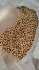 干贝scallops 250/bag