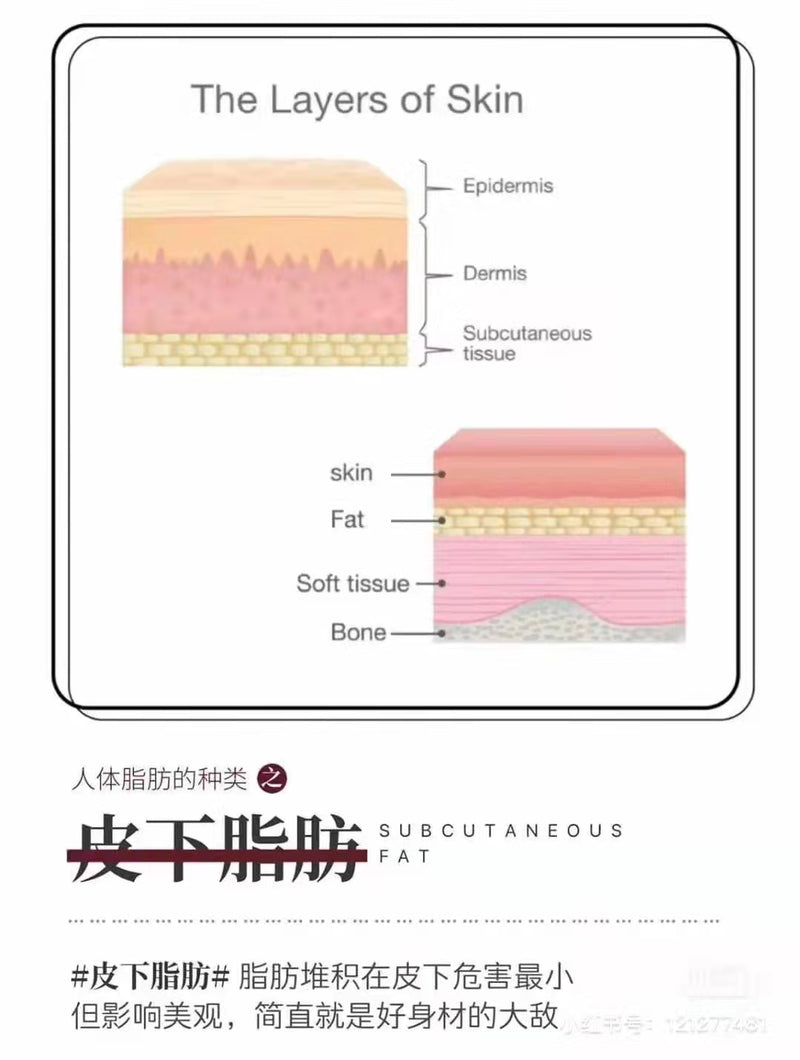 中医减肥塑形