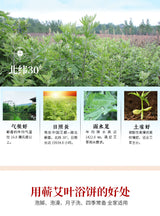 陈年艾叶花草饼 10片/盒——排寒排湿